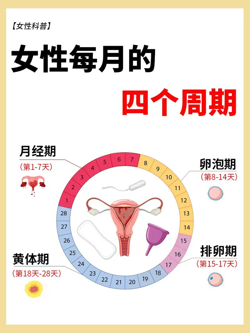 女生月经常识,女生经常来月经 第2张 女生月经常识,女生经常来月经 第2张