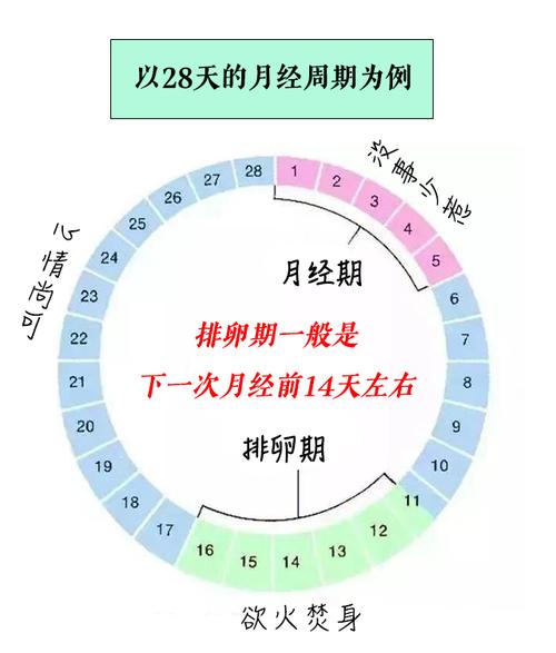 女生月经常识,女生经常来月经 第3张 女生月经常识,女生经常来月经 第3张