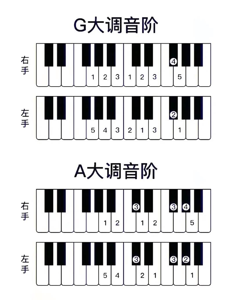 钢琴的基本常识,钢琴的基本常识有哪些 第1张 钢琴的基本常识,钢琴的基本常识有哪些 第1张