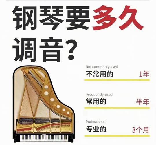 钢琴的基本常识,钢琴的基本常识有哪些 第6张 钢琴的基本常识,钢琴的基本常识有哪些 第6张