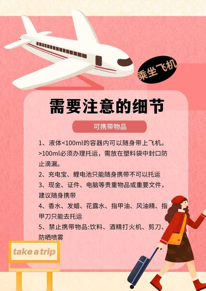 乘坐飞机常识 - 关于飞机坐飞机常识 第7张 乘坐飞机常识 - 关于飞机坐飞机常识 第7张