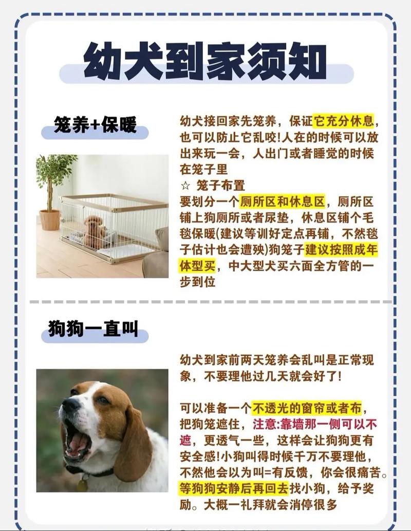 养狗基本常识,养狗基本常识大全 第3张 养狗基本常识,养狗基本常识大全 第3张