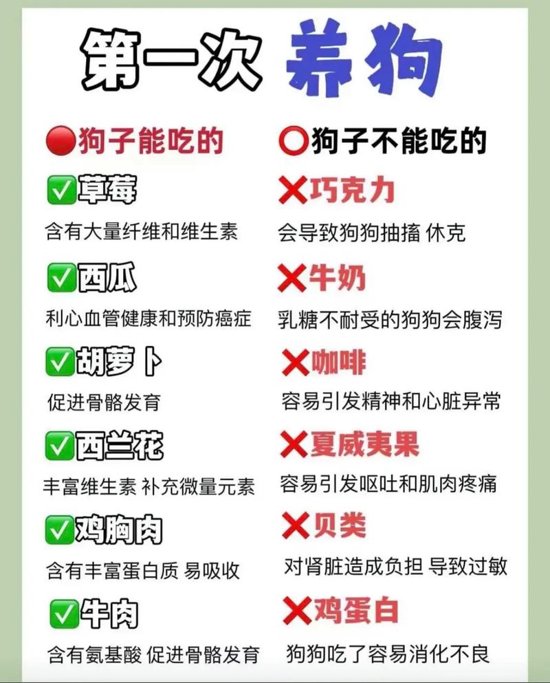 养狗基本常识,养狗基本常识大全 第7张 养狗基本常识,养狗基本常识大全 第7张