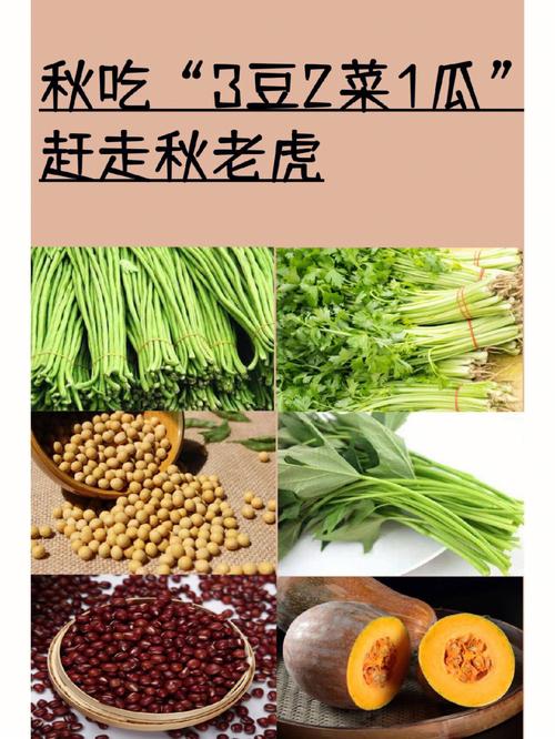 秋季养生小常识顺口溜,秋季养生顺口溜简短 第2张 秋季养生小常识顺口溜,秋季养生顺口溜简短 第2张