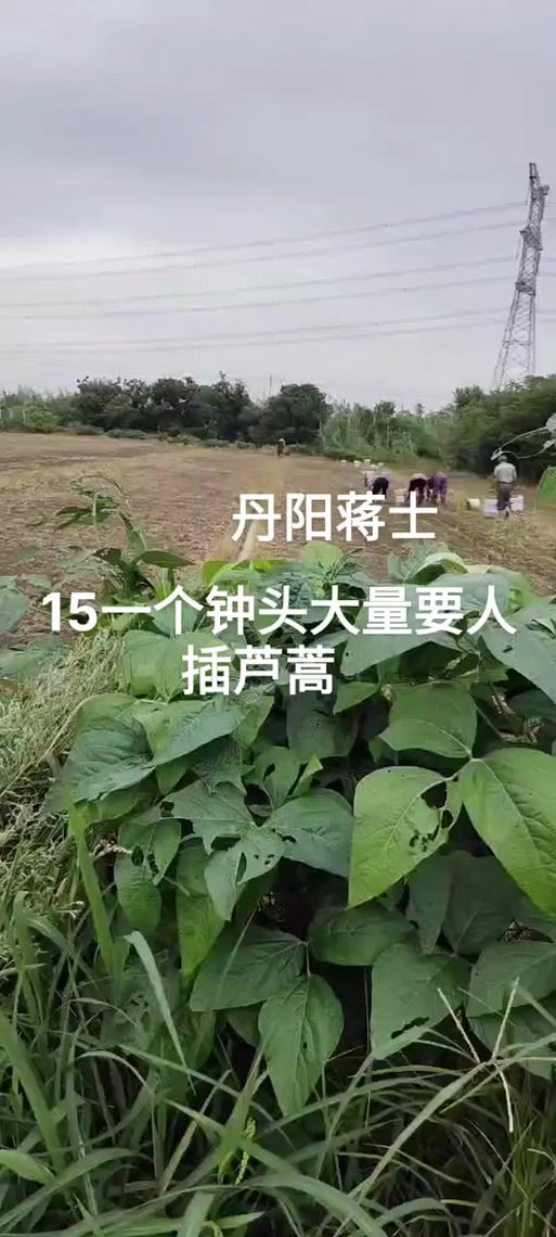 镇江到丹阳算不算跨市出行 - 镇江到丹阳要隔离吗 第6张 镇江到丹阳算不算跨市出行 - 镇江到丹阳要隔离吗 第6张