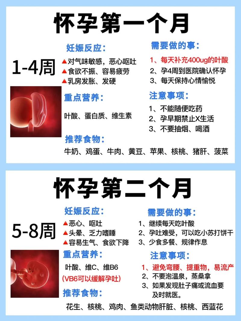 孕期保健常识 - 孕期保健知识 第7张 孕期保健常识 - 孕期保健知识 第7张