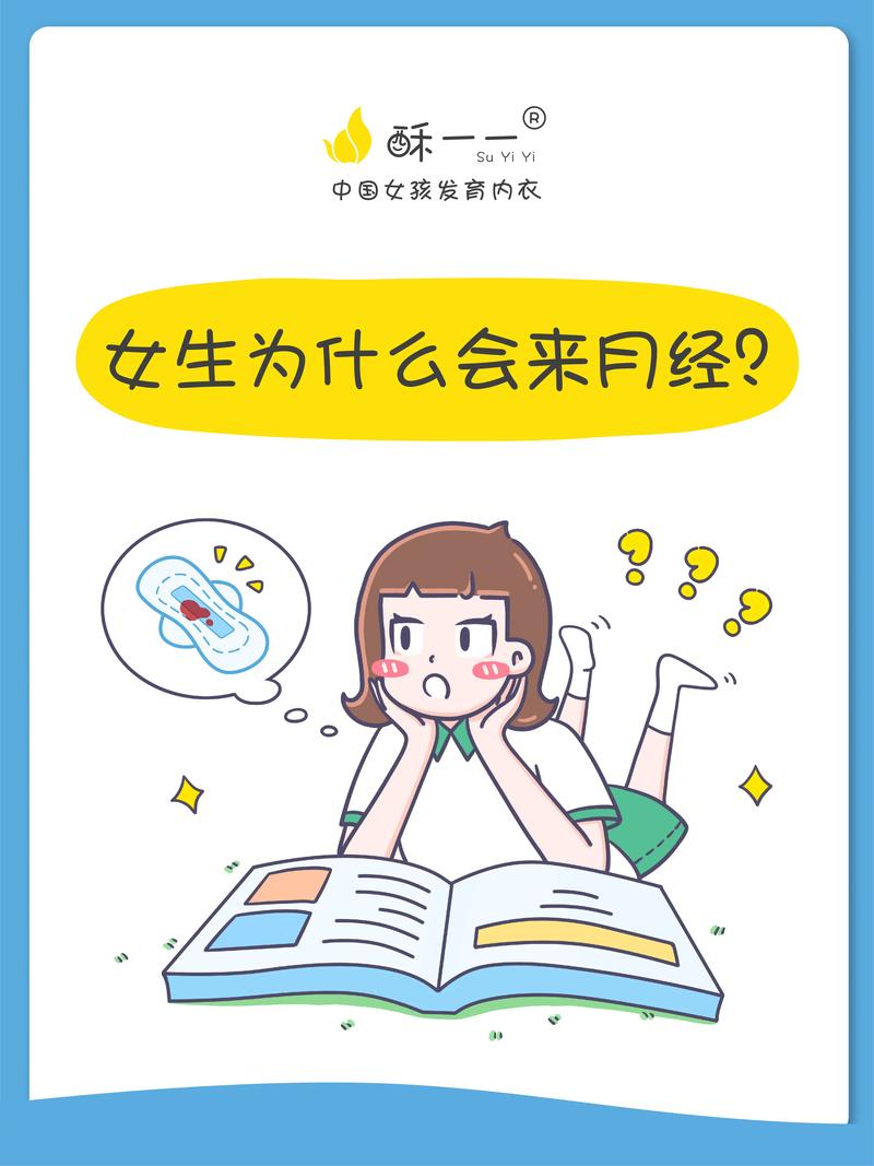 卵巢经期常识 - 月经,卵巢周期的概念 第2张 卵巢经期常识 - 月经,卵巢周期的概念 第2张