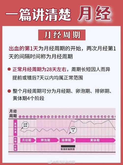 卵巢经期常识 - 月经,卵巢周期的概念 第4张 卵巢经期常识 - 月经,卵巢周期的概念 第4张