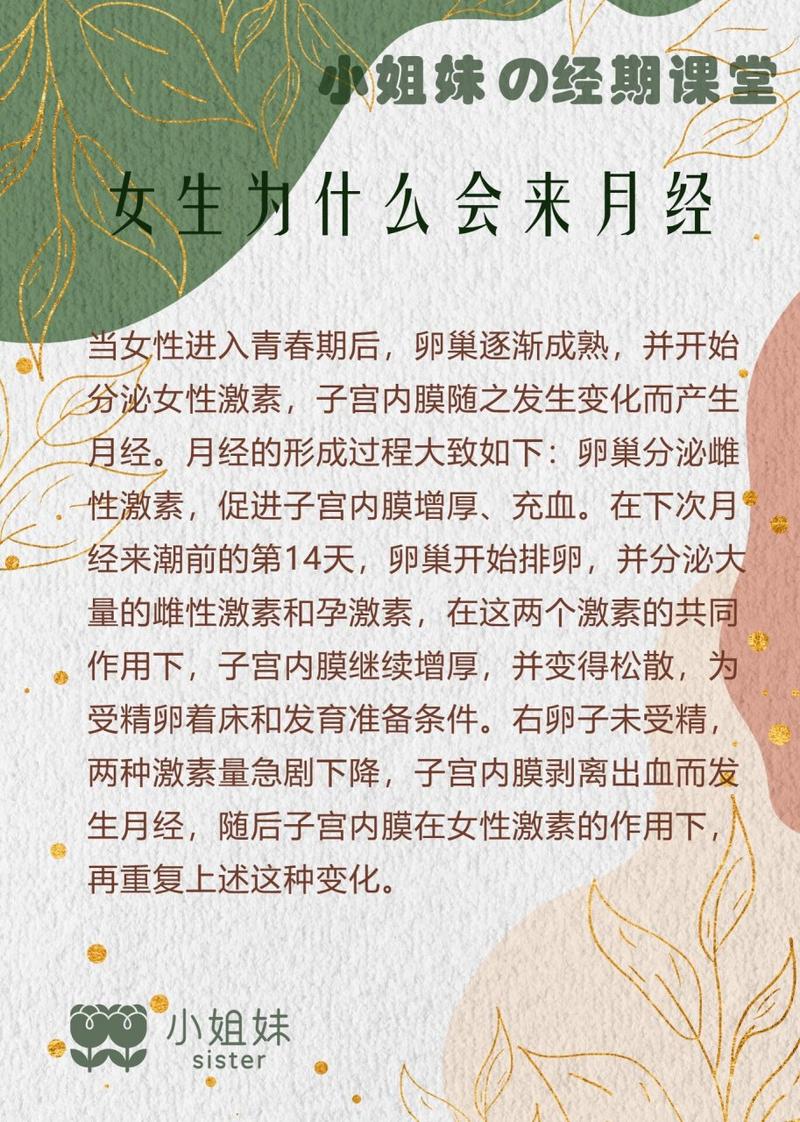 卵巢经期常识 - 月经,卵巢周期的概念 第6张 卵巢经期常识 - 月经,卵巢周期的概念 第6张