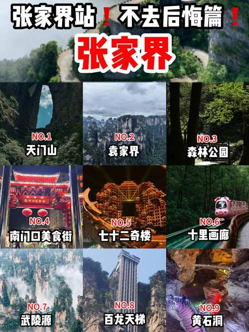 张家界绿色出行项目优势(张家界绿色智能科技有限公司) 第4张 张家界绿色出行项目优势(张家界绿色智能科技有限公司) 第4张