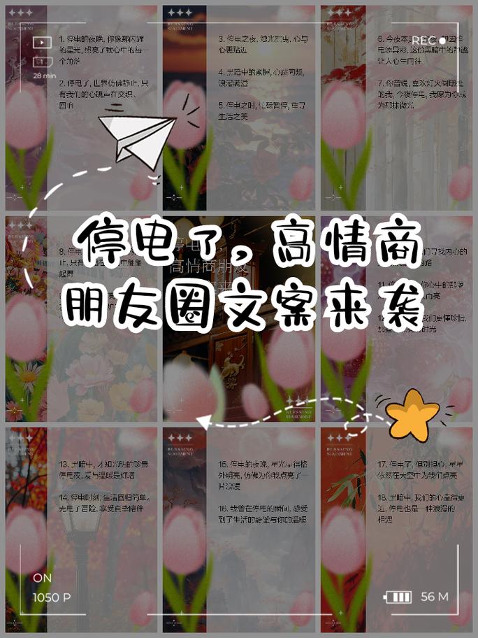这个夏天绿色出行,关于夏天绿色的文案 第3张 这个夏天绿色出行,关于夏天绿色的文案 第3张