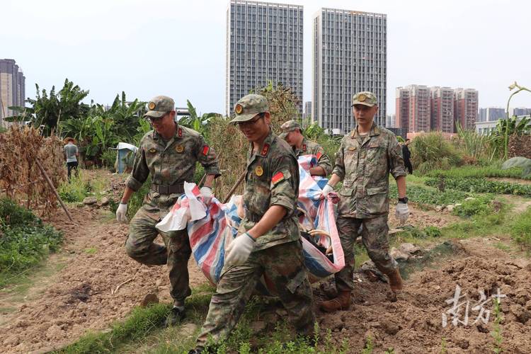 民兵战备常识(民兵战备常识教案) 第4张 民兵战备常识(民兵战备常识教案) 第4张