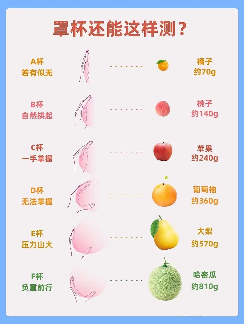 内衣健康小常识大全(内衣知识小课堂) 第1张 内衣健康小常识大全(内衣知识小课堂) 第1张