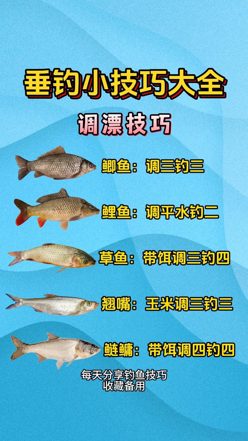 长江钓鱼常识和要领,长江钓鱼视频大全高清2017 第1张 长江钓鱼常识和要领,长江钓鱼视频大全高清2017 第1张