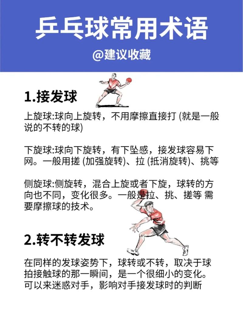 乒乓球规则常识20条 - 乒乓球规则常识视频 第2张 乒乓球规则常识20条 - 乒乓球规则常识视频 第2张