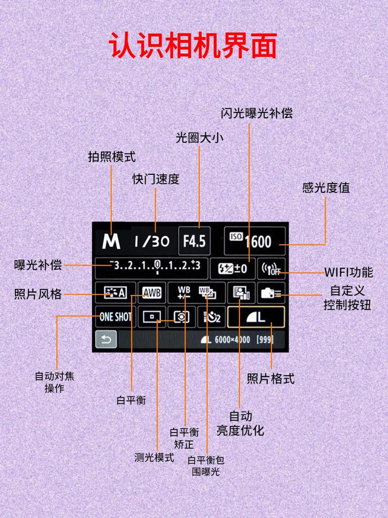 影视基础常识,影视知识 第3张 影视基础常识,影视知识 第3张