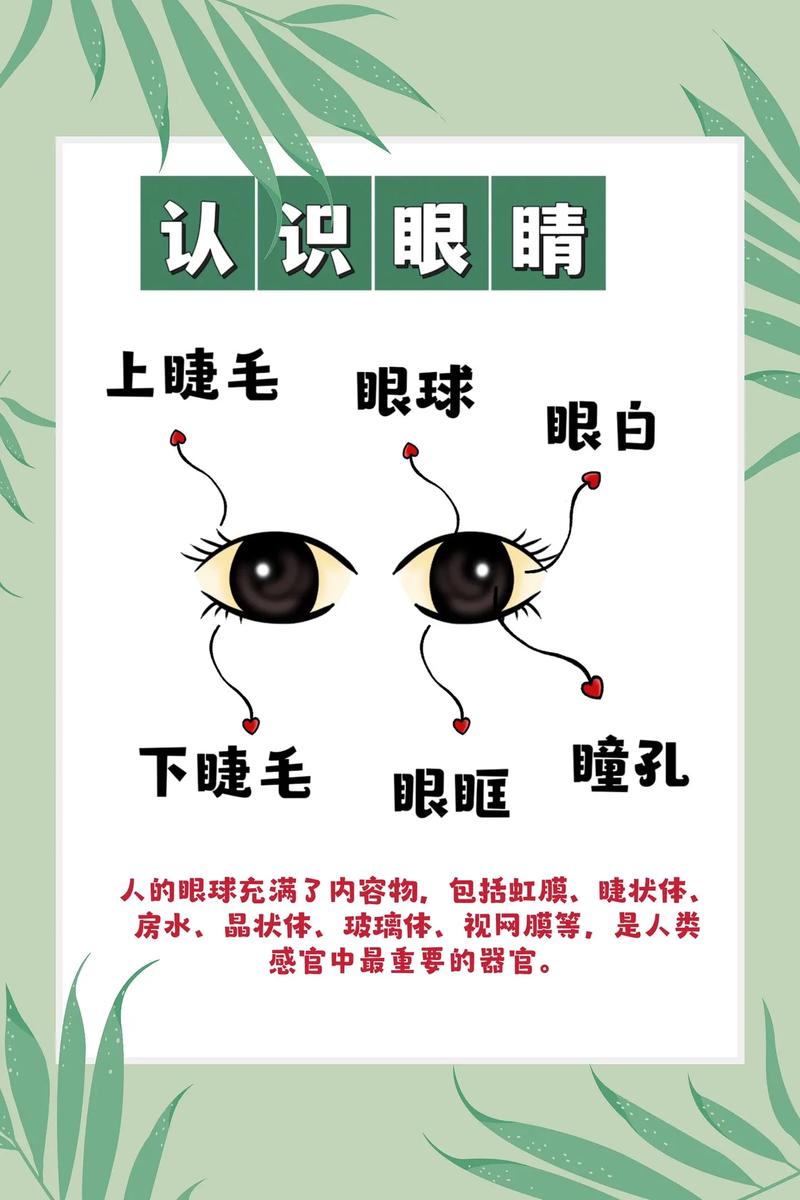 保护眼睛的小常识 - 保护眼睛的小常识手抄报 第2张 保护眼睛的小常识 - 保护眼睛的小常识手抄报 第2张