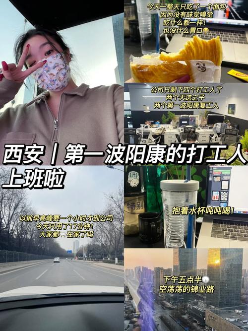浙江复工如何出行,返浙复工人员多吗 第7张 浙江复工如何出行,返浙复工人员多吗 第7张
