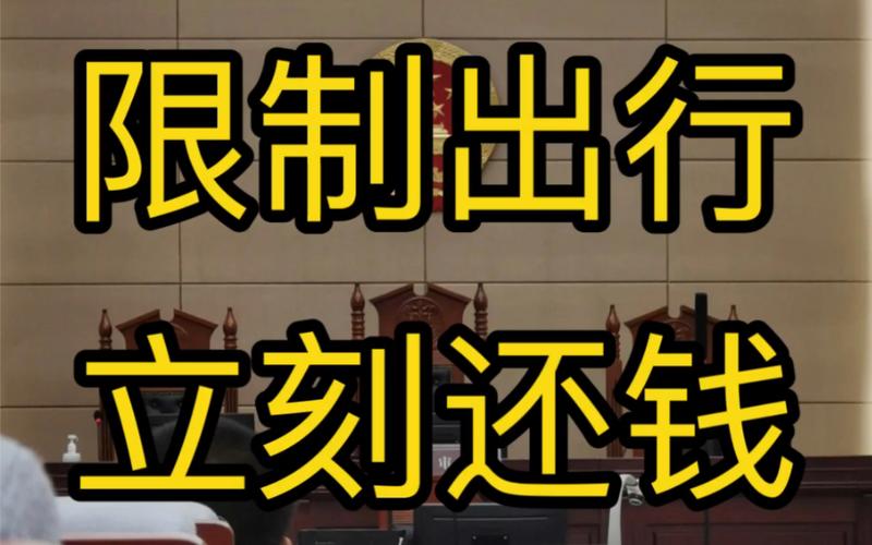 怎么会被限制出行黑名单(什么原因会被限制出市) 第3张 怎么会被限制出行黑名单(什么原因会被限制出市) 第3张