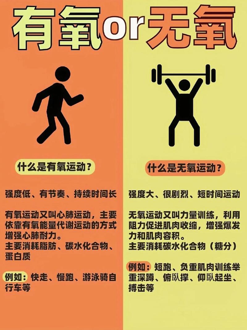 健身的小常识,健身的小常识和技巧 第3张 健身的小常识,健身的小常识和技巧 第3张