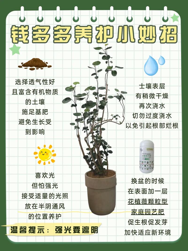 植物养护常识,植物养护常识内容 第1张 植物养护常识,植物养护常识内容 第1张