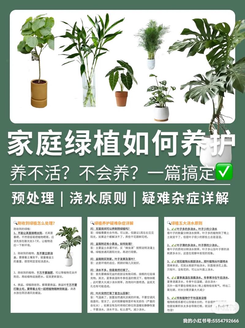 植物养护常识,植物养护常识内容 第3张 植物养护常识,植物养护常识内容 第3张