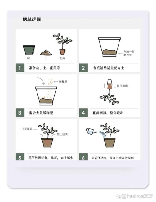 植物养护常识,植物养护常识内容 第5张 植物养护常识,植物养护常识内容 第5张