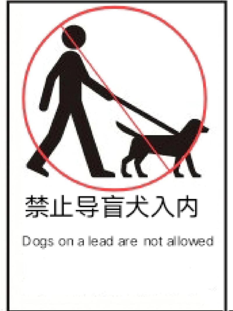 怎样带导盲犬出行 - 怎样带导盲犬出行回家 第5张 怎样带导盲犬出行 - 怎样带导盲犬出行回家 第5张