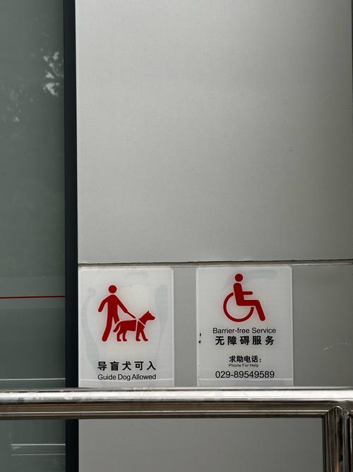 怎样带导盲犬出行 - 怎样带导盲犬出行回家 第6张 怎样带导盲犬出行 - 怎样带导盲犬出行回家 第6张