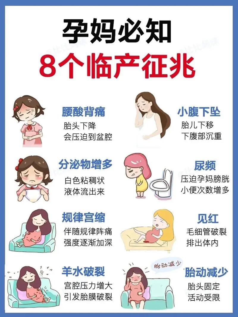 备孕常识有哪些,备孕常识必备大全 第1张 备孕常识有哪些,备孕常识必备大全 第1张
