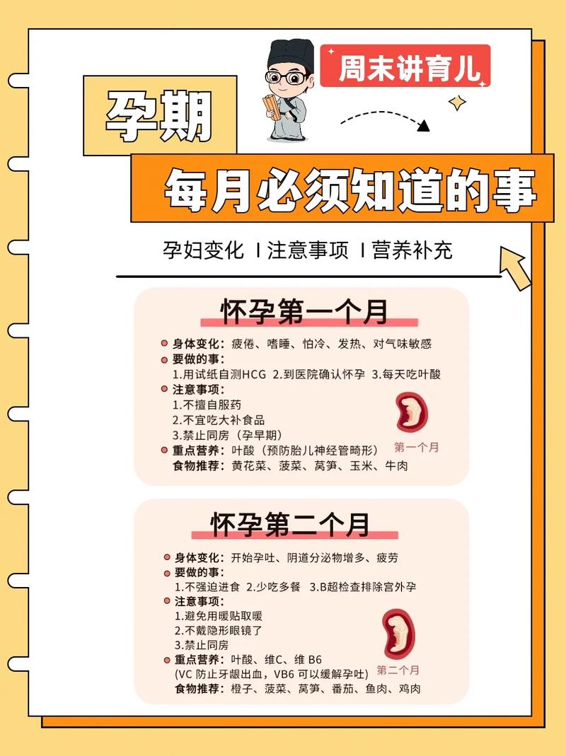 备孕常识有哪些,备孕常识必备大全 第5张 备孕常识有哪些,备孕常识必备大全 第5张