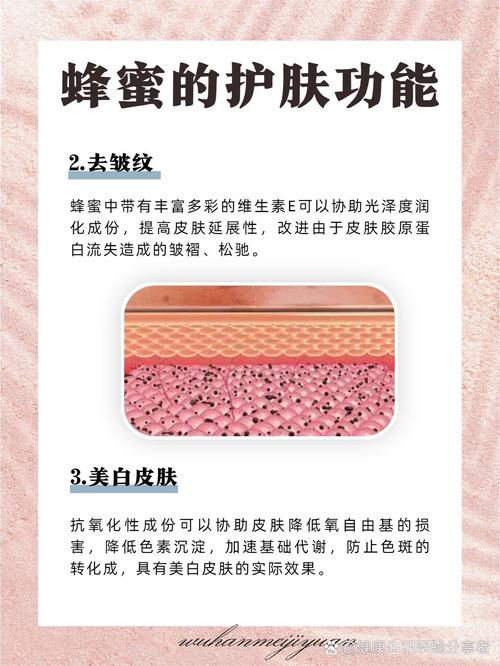 蜂蜜美容护肤小常识(蜂蜜美容护肤小常识有哪些) 第5张 蜂蜜美容护肤小常识(蜂蜜美容护肤小常识有哪些) 第5张
