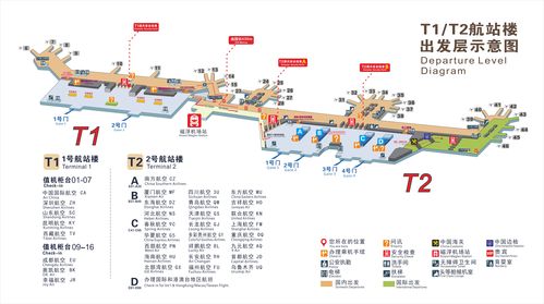 长沙机场出行手续(长沙机场流程) 第2张 长沙机场出行手续(长沙机场流程) 第2张