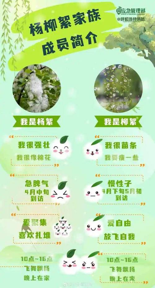 怎么防止飞絮出行(如何防止飞蛾) 第2张 怎么防止飞絮出行(如何防止飞蛾) 第2张