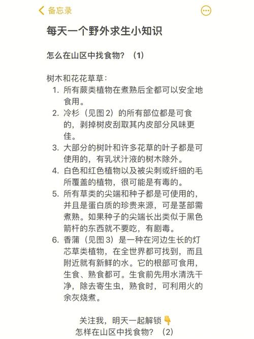 野外生存常识,野外生存常识技巧 第3张 野外生存常识,野外生存常识技巧 第3张