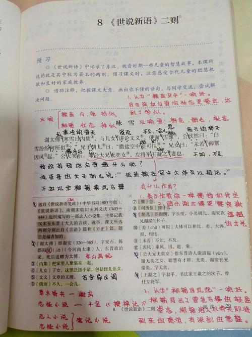 咏雪的文学常识 - 咏雪文学常识重点 第6张 咏雪的文学常识 - 咏雪文学常识重点 第6张