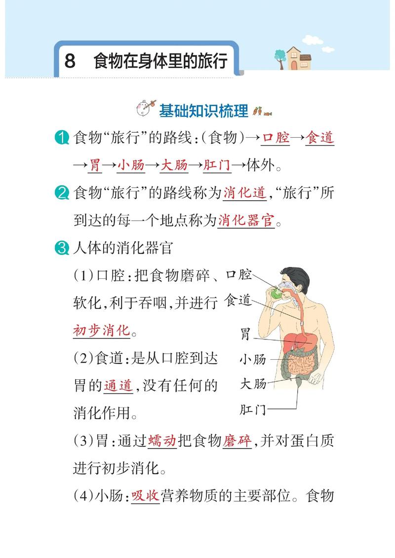 医疗卫生常识内容(医疗卫生常识包括什么) 第5张 医疗卫生常识内容(医疗卫生常识包括什么) 第5张