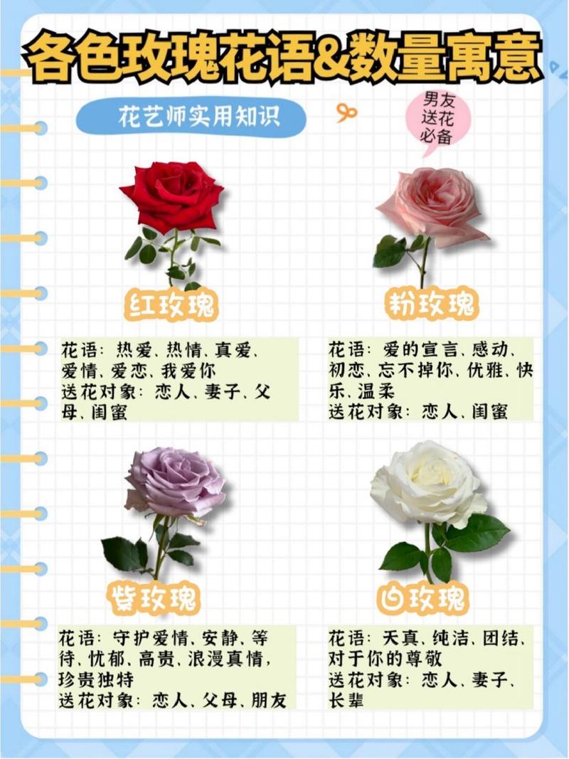关于花的小常识 - 关于花的科普 第3张 关于花的小常识 - 关于花的科普 第3张