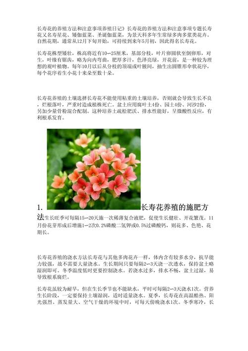 关于花的小常识 - 关于花的科普 第7张 关于花的小常识 - 关于花的科普 第7张
