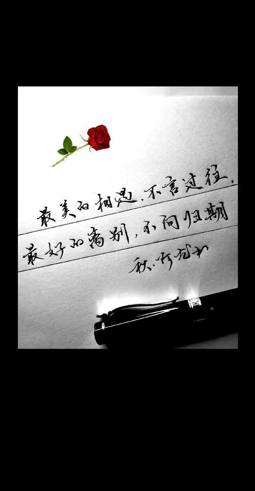 这趟出行不问归期 - 这趟出行不问归期下一句 第8张 这趟出行不问归期 - 这趟出行不问归期下一句 第8张