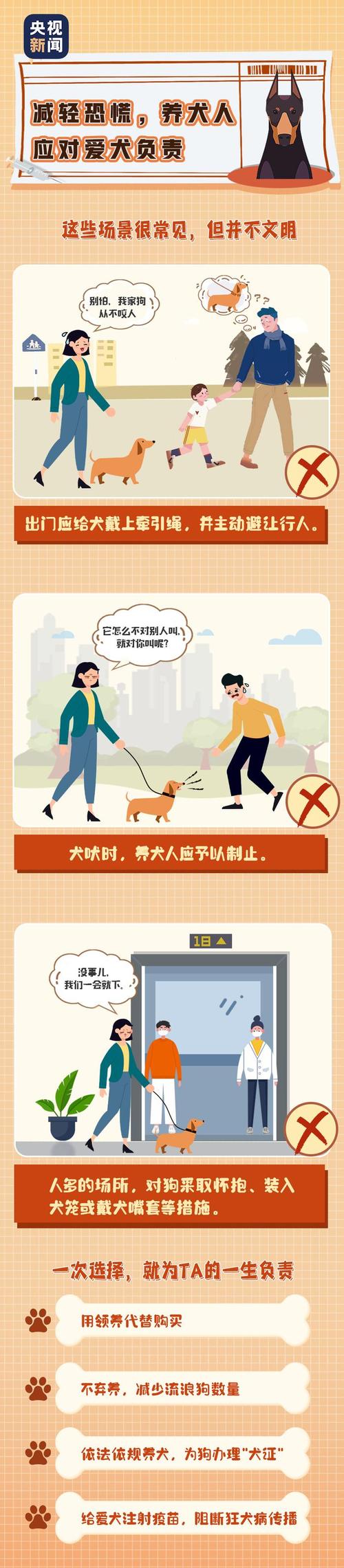 长沙带狗出行要求(长沙能带狗狗去的旅游景点) 第1张 长沙带狗出行要求(长沙能带狗狗去的旅游景点) 第1张