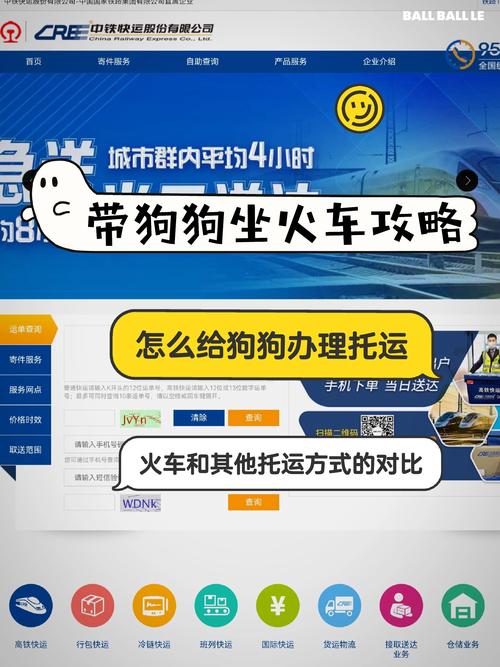 长沙带狗出行要求(长沙能带狗狗去的旅游景点) 第3张 长沙带狗出行要求(长沙能带狗狗去的旅游景点) 第3张