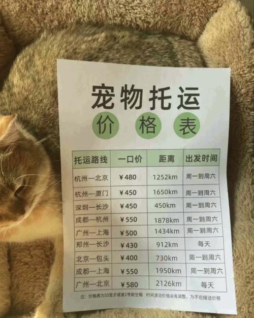 长沙狗狗出行公司(长沙宠物狗长沙宠物狗信息) 第2张 长沙狗狗出行公司(长沙宠物狗长沙宠物狗信息) 第2张