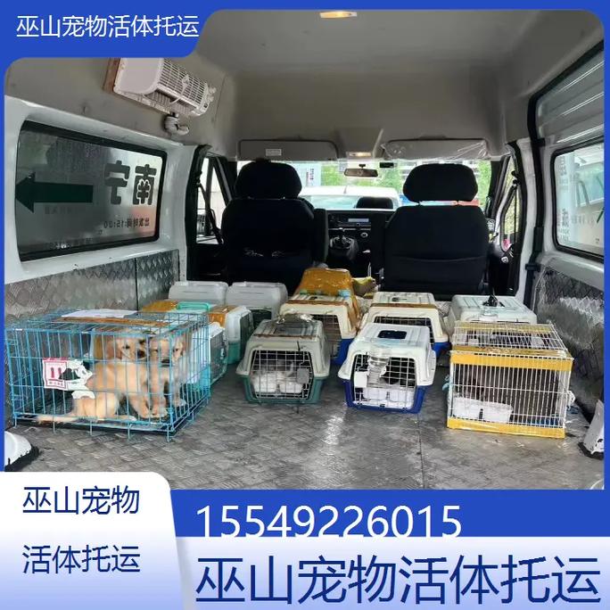 长沙狗狗出行公司(长沙宠物狗长沙宠物狗信息) 第5张 长沙狗狗出行公司(长沙宠物狗长沙宠物狗信息) 第5张
