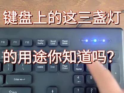 键盘基本常识(键盘常识的知识重点) 第6张 键盘基本常识(键盘常识的知识重点) 第6张