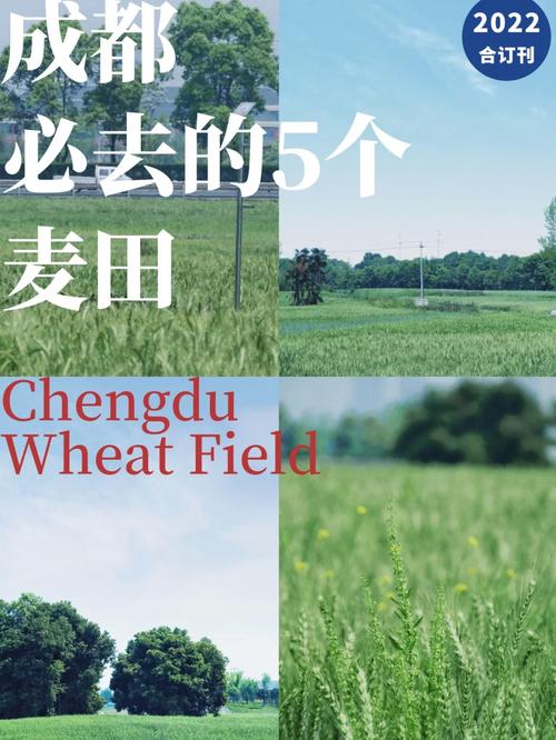 招招出行和麦田出行哪个好 - 招招出行平台怎么样 第3张 招招出行和麦田出行哪个好 - 招招出行平台怎么样 第3张