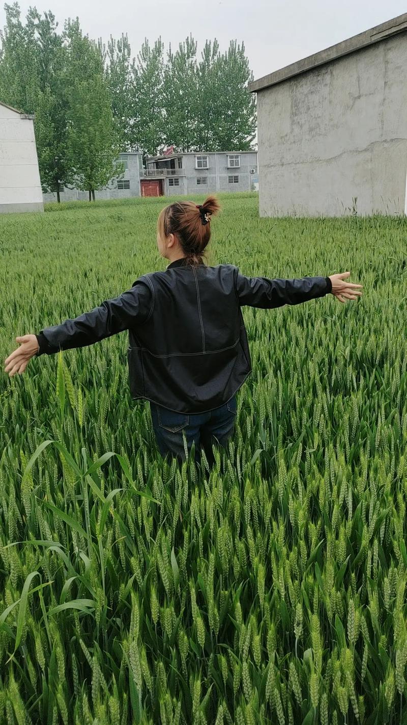 招招出行和麦田出行哪个好 - 招招出行平台怎么样 第4张 招招出行和麦田出行哪个好 - 招招出行平台怎么样 第4张