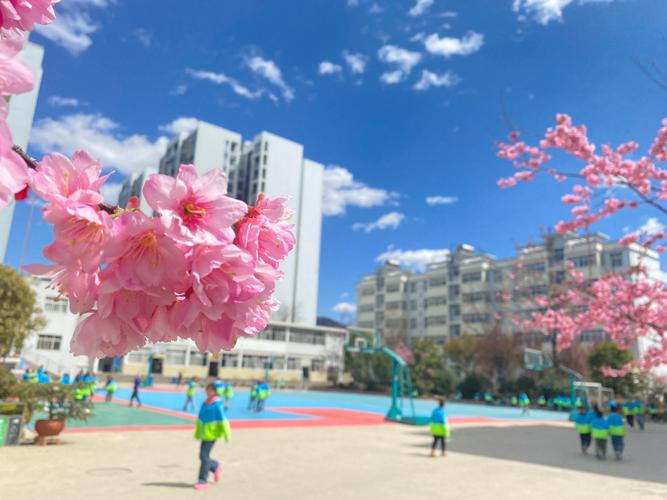 昭阳出行怎么登录(昭阳出行客户端app下载) 第6张 昭阳出行怎么登录(昭阳出行客户端app下载) 第6张