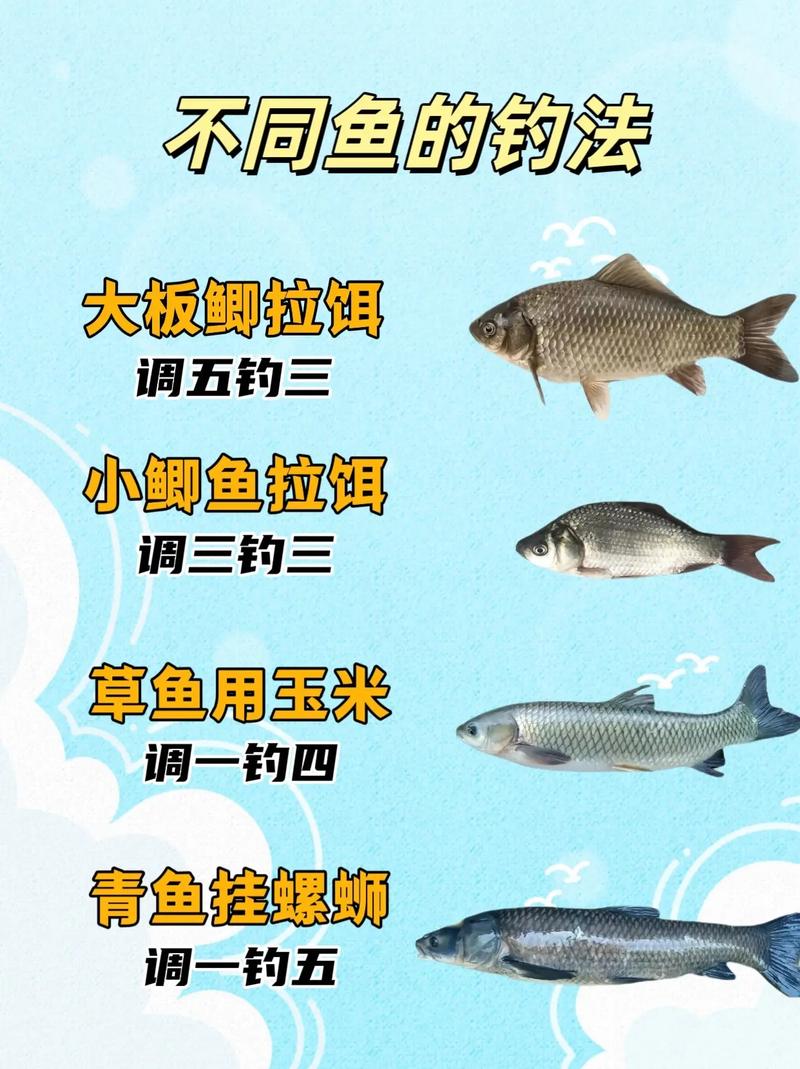 钓鱼常识钓鱼人必看 - 钓鱼的常识 第3张 钓鱼常识钓鱼人必看 - 钓鱼的常识 第3张