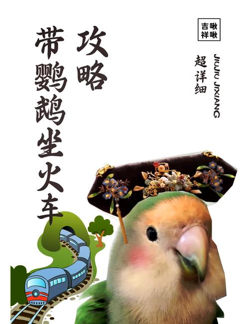 怎么带着鹦鹉出行(怎么带鹦鹉坐车) 第6张 怎么带着鹦鹉出行(怎么带鹦鹉坐车) 第6张